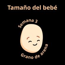 Tamaño del bebé a las 3 semanas