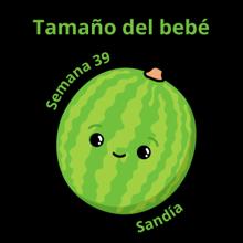 Tamaño del bebé a las 39 semanas