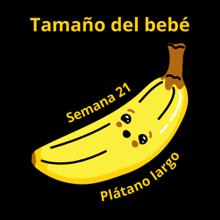 Baby size at 21 weeks banana