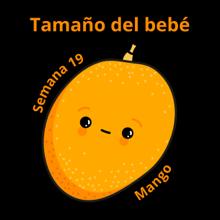 Tamaño del bebé a las 19 semanas mango