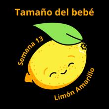Tamaño del bebé a las 13 semanas, limón