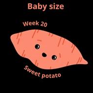 Baby size at 20 weeks sweet potato