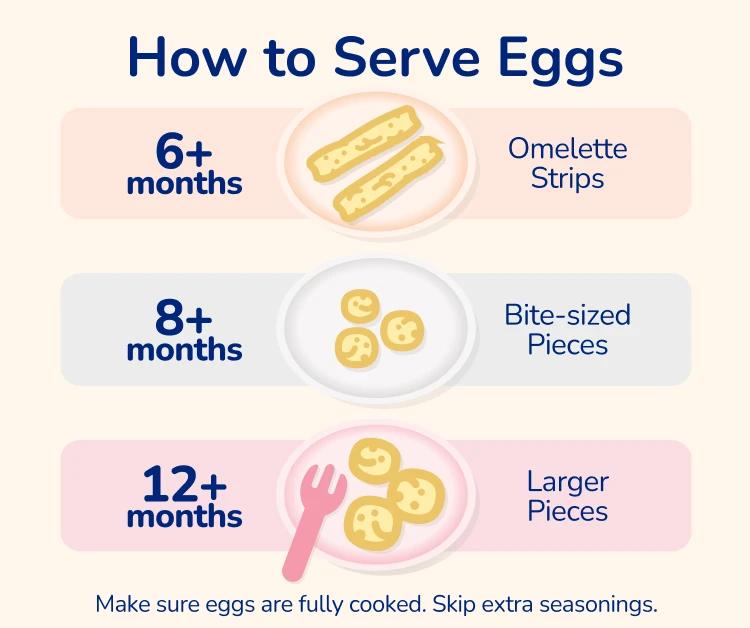 How to Serve Eggs from 6 months to 12+ months. 6+ months: Omelette strips. 8+ months: Bite-sized pieces. 12+ months: Larger pieces.