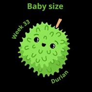 Baby size at 33 weeks durian