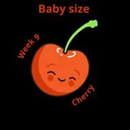 Baby size at 9 weeks cherry
