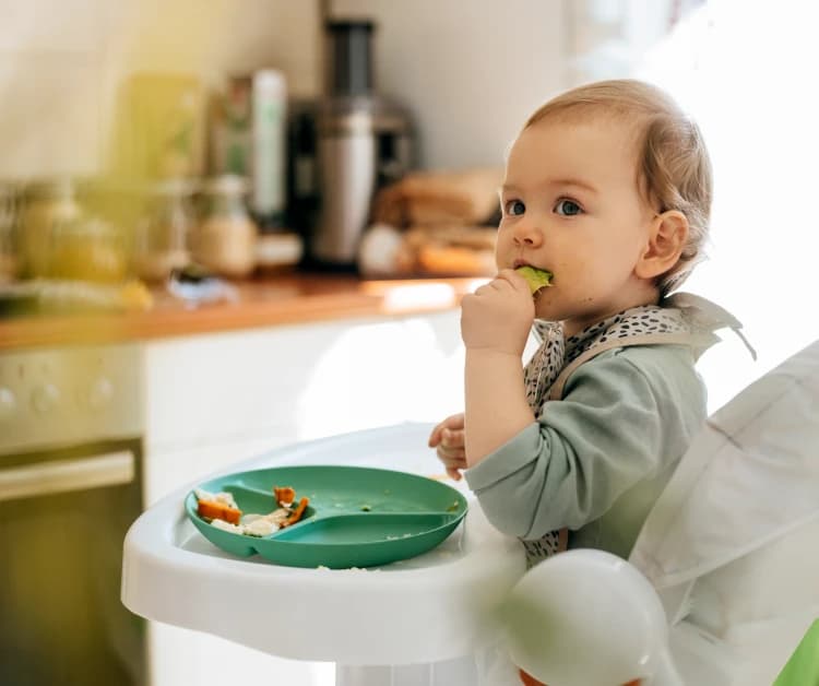 Toddler eating avocado