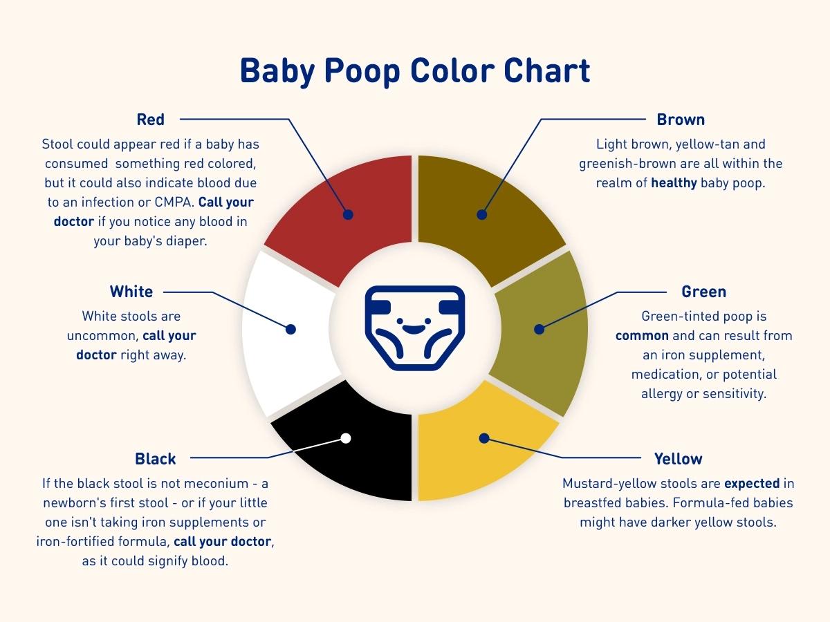 baby-poop-color-chart.webp