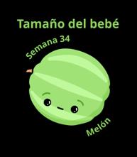 Tamaño del bebé a las 34 semanas