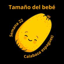 Tamaño del bebé a las 22 semanas