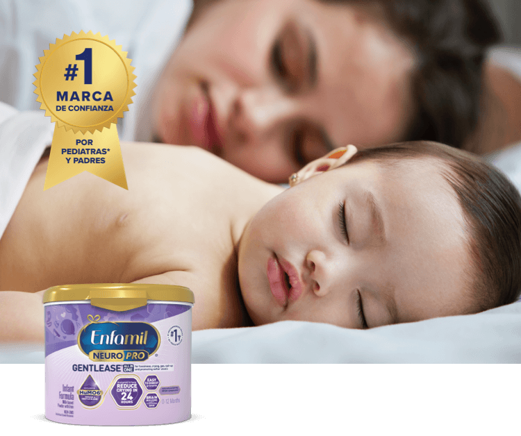 Conejo morado sentado