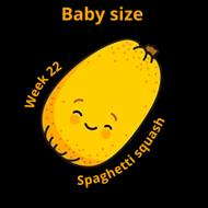 Baby size at 22 weeks spaghetti squash