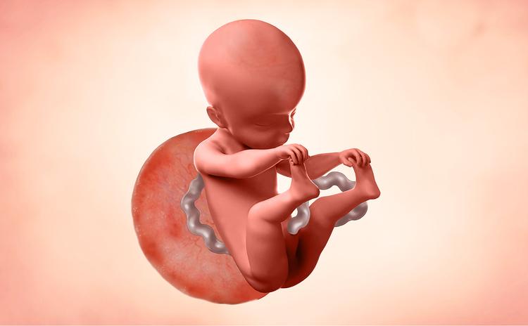 25 Semanas de Embarazo: Tamaño del Bebé, Síntomas y Consejos | Enfamil
