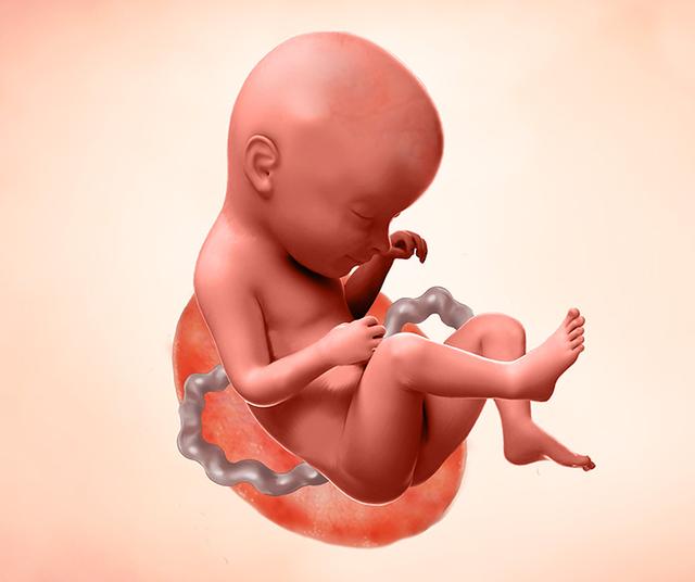 33 Semanas de Embarazo: Tamaño del Bebé, Síntomas y Consejos | Enfamil